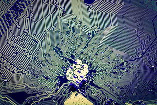 解码张江创新密码 从2018上海科技进步报告看软件开发的奋进足音